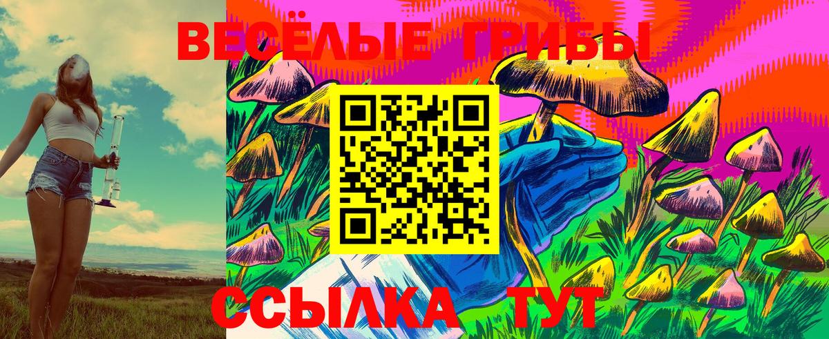 Галлюциногенные грибы прущие грибы  Вход с VPN  Киселёвск 