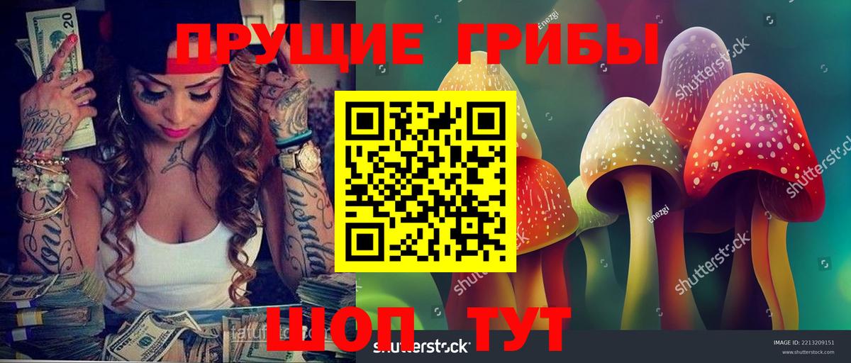 Галлюциногенные грибы мухоморы Киселёвск