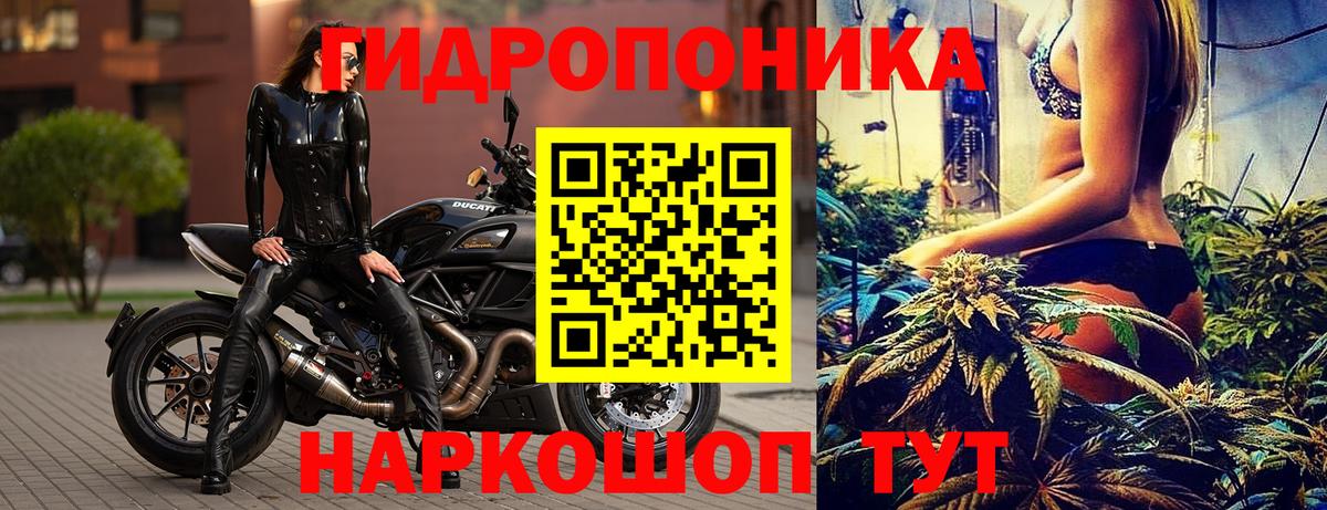 Каннабис индика Киселёвск